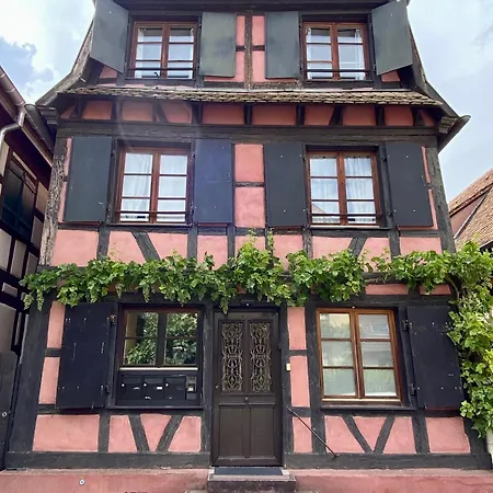 De Caractere Au Calme , Proche Quartier Historique, Au Merlenchanteur 3* Schiltigheim