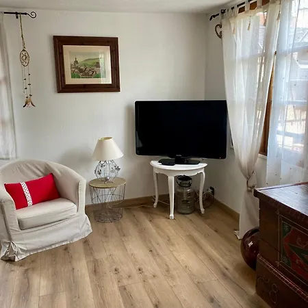 Bed & Breakfast De Caractere Au Calme , Proche Quartier Historique, Au Merlenchanteur Schiltigheim