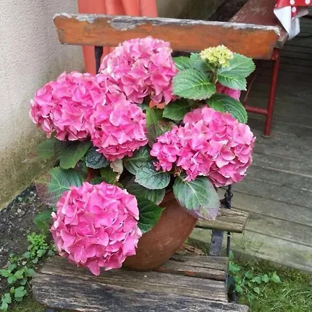 De Caractere Au Calme , Proche Quartier Historique, Au Merlenchanteur 3* Schiltigheim