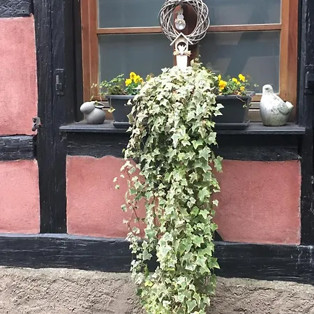 De Caractere Au Calme , Proche Quartier Historique, Au Merlenchanteur