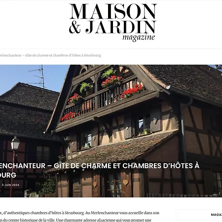 De Caractere Au Calme , Proche Quartier Historique, Au Merlenchanteur 3*