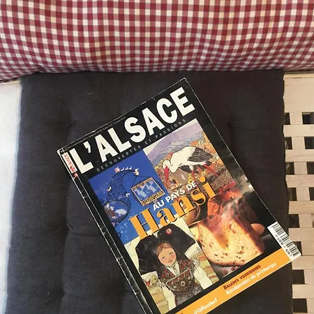 Bed & Breakfast De Caractere Au Calme , Proche Quartier Historique, Au Merlenchanteur 3*