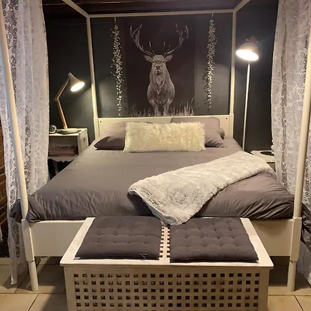 De Caractere Au Calme , Proche Quartier Historique, Au Merlenchanteur 3*