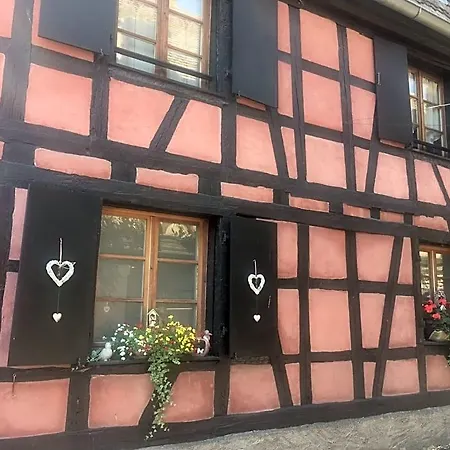 De Caractere Au Calme , Proche Quartier Historique, Au Merlenchanteur