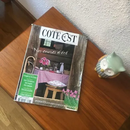 De Caractere Au Calme , Proche Quartier Historique, Au Merlenchanteur 3* Schiltigheim