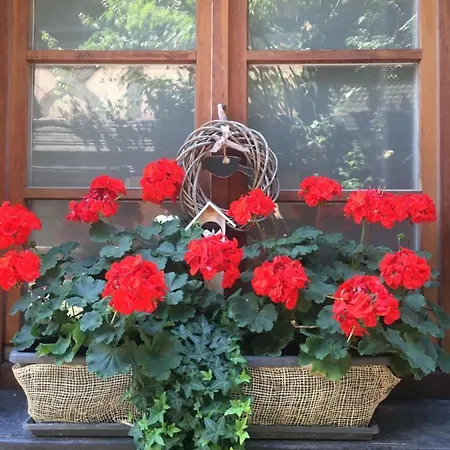 De Caractere Au Calme , Proche Quartier Historique, Au Merlenchanteur 3*